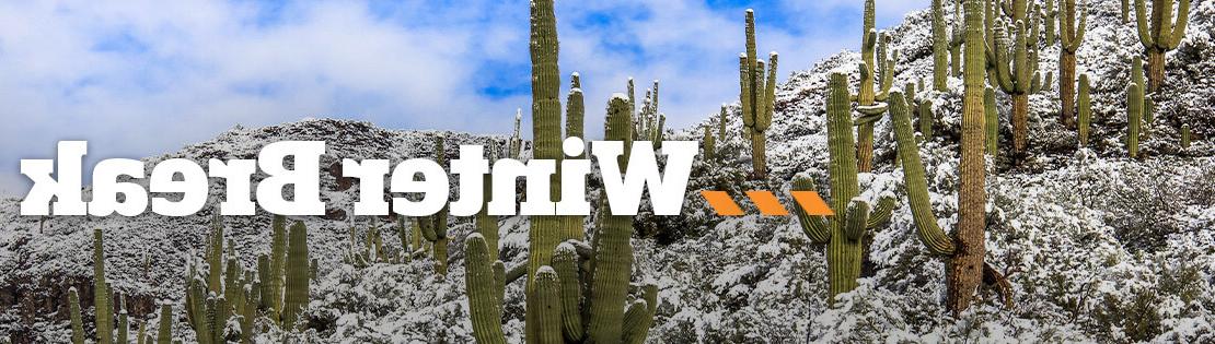 An Image of Saguaros with Snow; text overlay says, "Winter Break: College Closed Dec 24 - Jan 2"